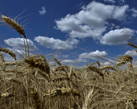 Ukraine sends food aid to Syria, says Zelenskiy