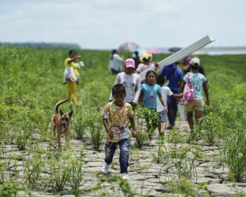 Drought, fires and deforestation battered Amazon rainforest in 2024