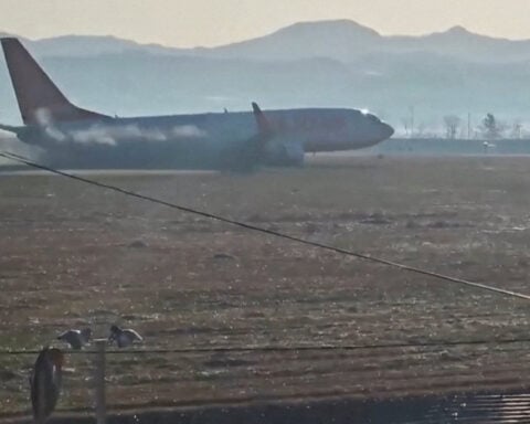 Experts question bird strike as cause of deadly South Korean airliner crash