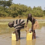 Jimmy Carter made eradicating Guinea worm disease a top mission