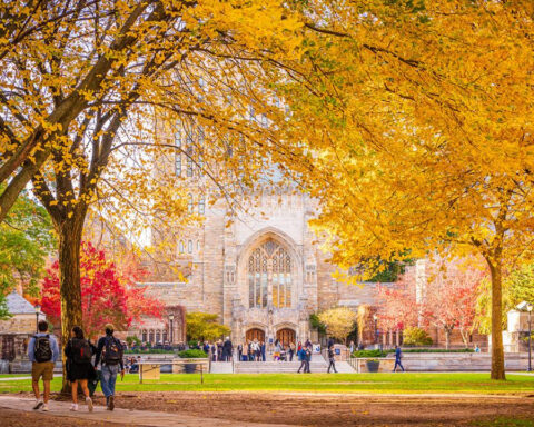 Going to college? Use this toolbox to help choose a school and plan the costs