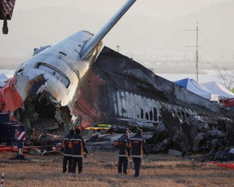 Questions over airport embankment, bird strikes as South Korea air crash probed