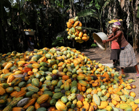 Cocoa tops global commodities rally for 2nd year, steel ingredients struggle on China demand