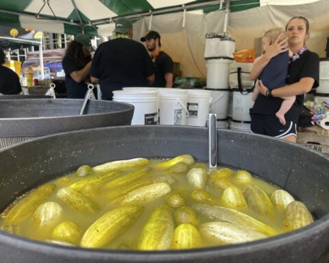The dill of a lifetime? In a nation that’s enduring its own sour patch, the pickle dominated 2024