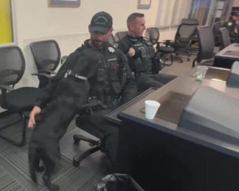 Richmond police recruit wellness dog to provide emotional support to officers