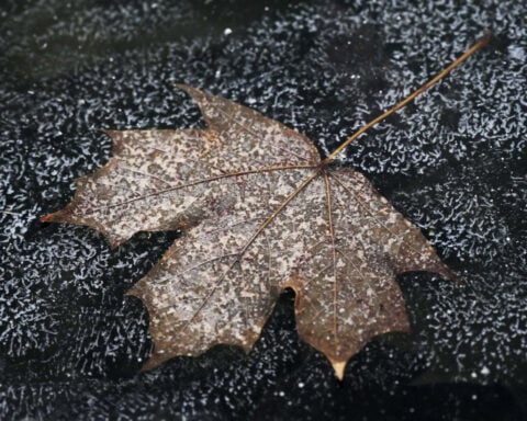 What to know as snow, freezing rain and bitter cold heads through much of the US