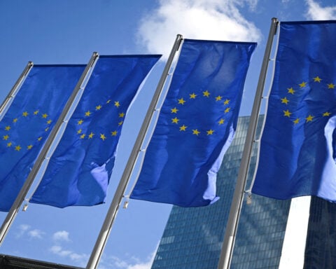 Euro zone economy ended 2024 in precarious state, PMI shows