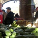 Central Florida farmers gear up to protect crops from cold snap