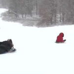 Snow day: Families fly down Louisville's most popular sledding hills