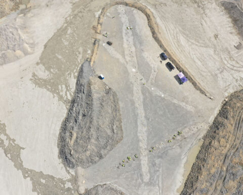 166-million-year-old dinosaur tracks found in the UK