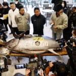 Tuna the size of a motorcycle sets record at Tokyo auction