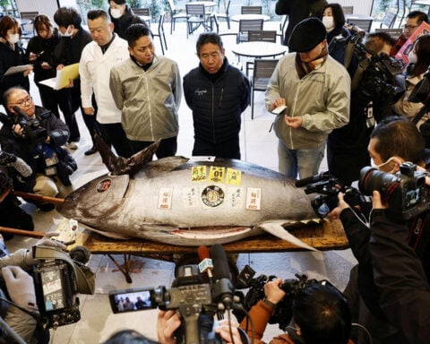 Tuna the size of a motorcycle sets record at Tokyo auction