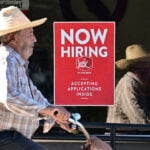 The final jobs report for 2024 lands Friday. Here’s what 2025 could mean for your job