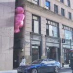 What are those giant pink inflatable sculptures in downtown Boston?