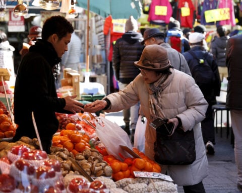 Japan November household spending falls as price pressures persist