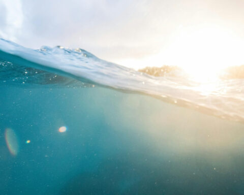 2024’s extreme ocean heat breaks records again, leaving 2 mysteries to solve