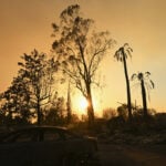 Actor Steve Guttenberg returns to his once-lush LA neighborhood now charred by devastating wildfire