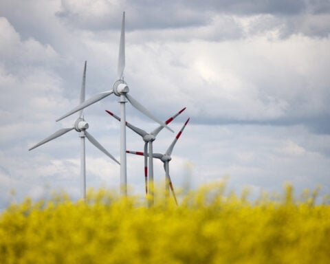 EU's 2024 new wind capacity less than half amount needed for climate goal, industry group says