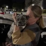 Owner reunites with French bulldog that was stolen from driveway