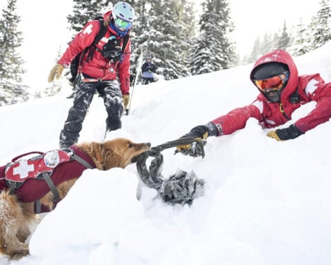 Avalanches: What causes innocent-looking snow slopes to collapse? A skiing physicist explains, with tips for surviving