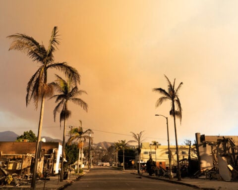 See Pacific Palisades before and after the devastating Los Angeles fires