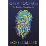 Book Review: 'Open Socrates' shows why philosophy isn't a spectator sport