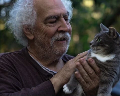 ‘They give me purpose’: Man explains why he feeds feral cats