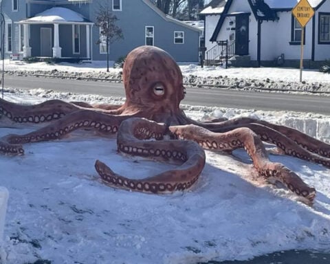 Artist’s snow octopus took 15 hours to build