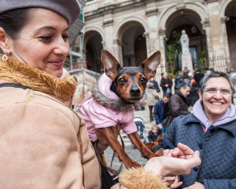 Italian museums are offering visitors dog-sitting services