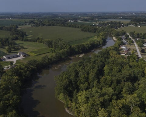 Chemicals in sewage sludge fertilizer pose cancer risk, EPA says