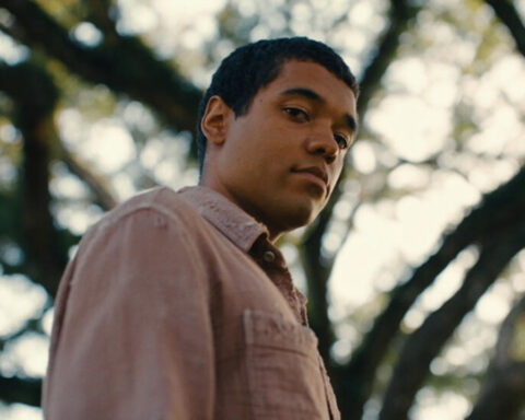 The best movies of 2024