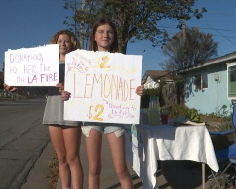 Lemonade stand helps raise money for animals displaced by LA wildfires