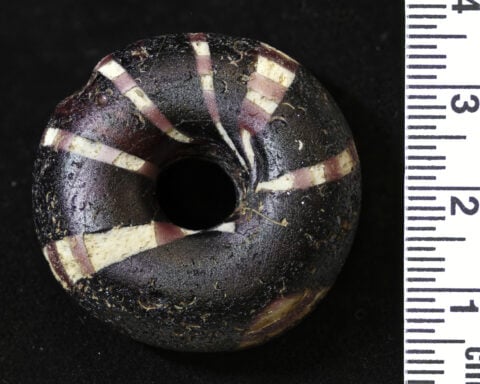 Ancient DNA suggests women were at the heart of social networks in Celtic society in Britain