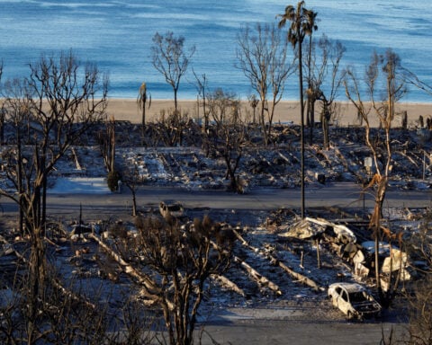 Wind gusts, humidity may test firefighters battling Los Angeles blazes