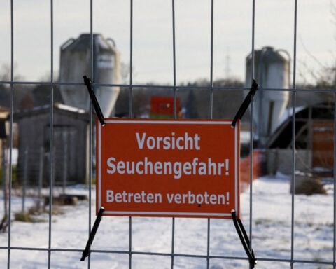 Farmers group fears billion-euro loss from German foot-and-mouth disease