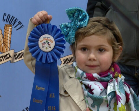 A true All-Star: Young girl overcomes cancer to take part in junior livestock show