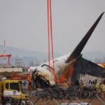 Bird feathers, blood found in both engines of crashed jet in South Korea, source says