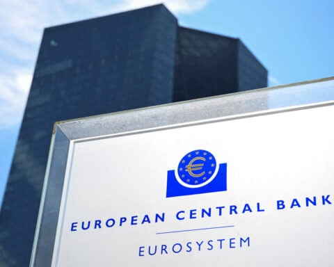 Euro zone current account surplus narrows in November