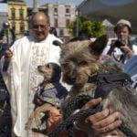 Blessings for dogs? Bring them to Mexico City's cathedral and St. Anthony will do the rest