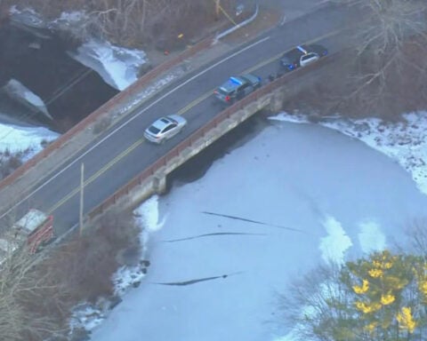 Girl reported missing dies after being pulled from icy pond