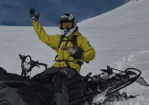 Forest ranger rescues goose "in rough shape" from Mount Shasta during routine patrol
