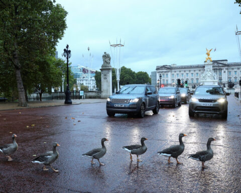 Britain to introduce digital driving licences this year