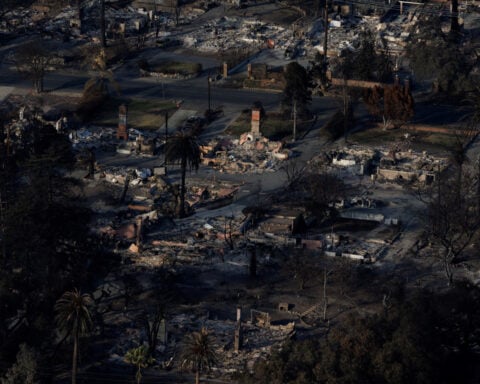 Aerial views show ash and rubble from Los Angeles fire zones