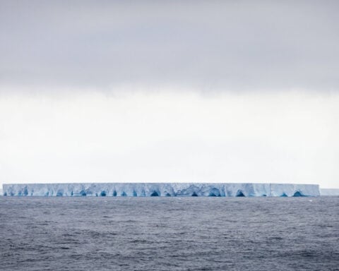 Fears that the world’s biggest iceberg could hit island in the South Atlantic