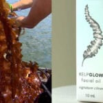 Made in Maine: Kittery company using kelp to help keep skin hydrated