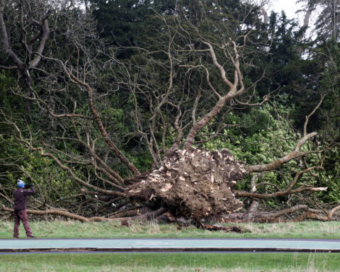 Ireland and Northern Ireland battered by record winds from Storm Eowyn