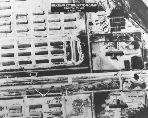 Auschwitz was liberated 80 years ago. The spotlight is on survivors as their numbers dwindle