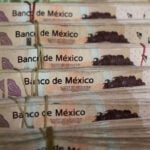 Mexico's peso falls after Trump announces tariffs on Colombian goods