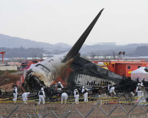 South Korean plane crash report says bird remains were found in engines, but no cause yet revealed