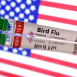 U.S. reported first outbreak of H5N9 bird flu in poultry, WOAH says